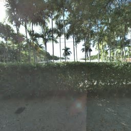244 NE 85TH ST, MIAMI, FL 33138