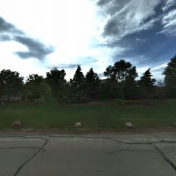 218 SHADOW RIDGE CT, PALOS PARK, IL 60464