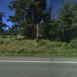 1352 SEVEN EAGLES WAY, GREENBANK, WA 98253