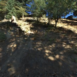 30955 CA-18, RUNNING SPRINGS, CA 92382