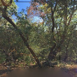 19850 SKYLINE BLVD, LOS GATOS, CA 95033
