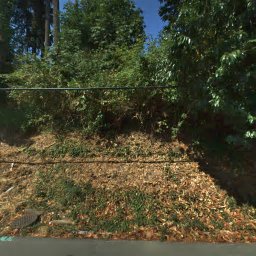 8411 NE 110TH PL, KIRKLAND, WA 98034