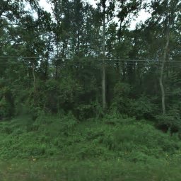 2341 WALL RD, MONROE, GA 30656