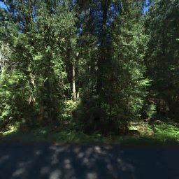 342 LARKSPUR LN, FRIDAY HARBOR, WA 98250