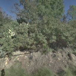 505 GREEN VIEW RD, LA HABRA HEIGHTS, CA 90631