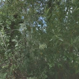 100 BROADMOOR AVE, SAN ANSELMO, CA 94960