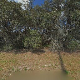 8418 FUSSELL DR, WESLEY CHAPEL, FL 33545