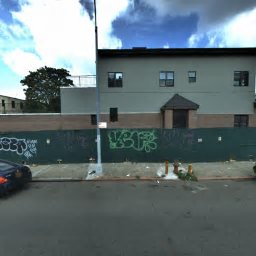 32 RADDE PL, BROOKLYN, NY 11233