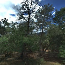 730 SOUTHVIEW WAY, WOODSIDE, CA 94062