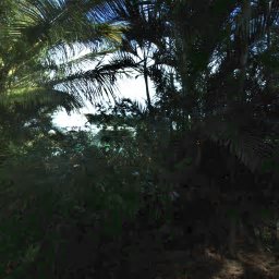 460 KULIKE RD, HAIKU, HI 96708