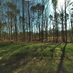 8100 COZY COVE CT, WAKE FOREST, NC 27587
