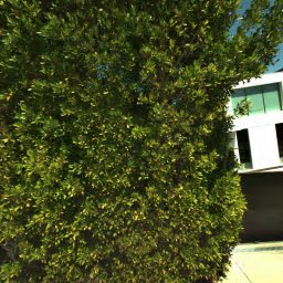 1740 BEL AIR RD, LOS ANGELES, CA 90077