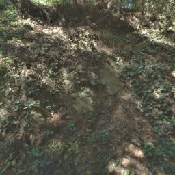 24 LOWER ALCATRAZ PL, MILL VALLEY, CA 94941
