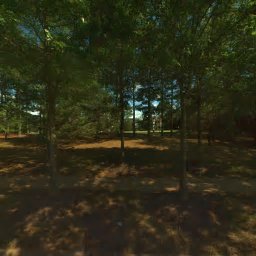 5008 SHORTGRASS LN, HAYMARKET, VA 20169