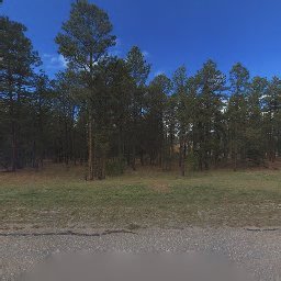 19620 BOX OAK WAY, COLORADO SPRINGS, CO 80908