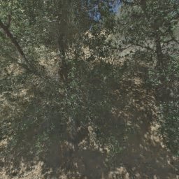 221 STONE VALLEY CT, MARTINEZ, CA 94553