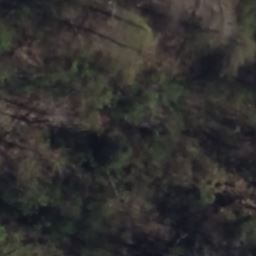 505 PISGAH FOREST TRL, ARDEN, NC 28704
