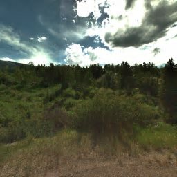 17 FAIRWAY DR, SNOWMASS VILLAGE, CO 81615