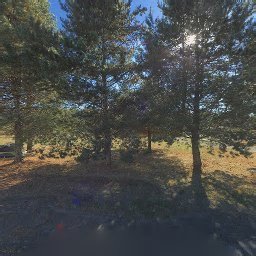 39100 SW LAURELWOOD RD, GASTON, OR 97119