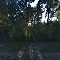 462 LAKESHORE DR, PAWLEYS ISLAND, SC 29585
