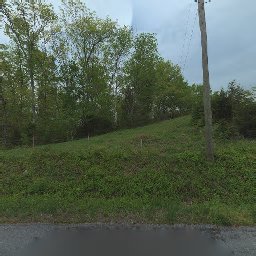 1410 SWANNSYLVANIA RD, DANDRIDGE, TN 37725