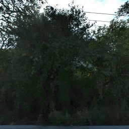 519 BRUNER PL, HINSDALE, IL 60521