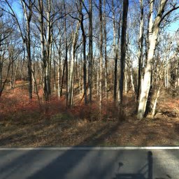 14613 PHILPOT RD, PHOENIX, MD 21131