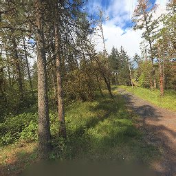 86552 BAILEY HILL LOOP, EUGENE, OR 97405