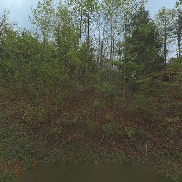 564 THISSA WAY, GATLINBURG, TN 37738
