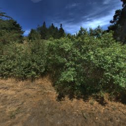 316 CONSTELLATION, THE SEA RANCH, CA 95497