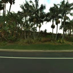 1855 LOMA VISTA DR, BEVERLY HILLS, CA 90210