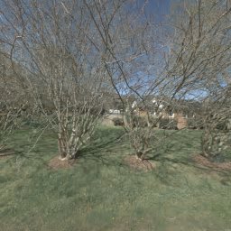 6150 SHARON RD, CHARLOTTE, NC 28210