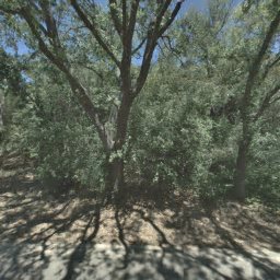 3194 GLORIA TER, LAFAYETTE, CA 94549
