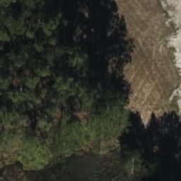 12505 STONELAKE RANCH BLVD, THONOTOSASSA, FL 33592