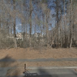 2984 SILVERMERE LN, DULUTH, GA 30097