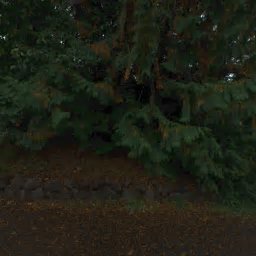 10348 RAVENNA AVE NE, SEATTLE, WA 98125