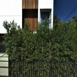 652 BROADWAY ST, VENICE, CA 90291