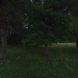 14041 NW MASON HILL RD, NORTH PLAINS, OR 97133
