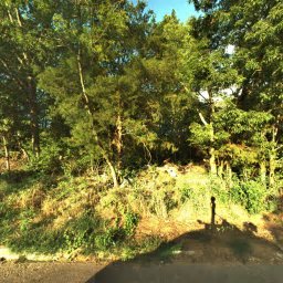 338 RIO VISTA DR, MADISON, TN 37115