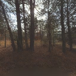 8621 BISHOP PINE LN, WAKE FOREST, NC 27587