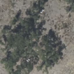 1136 ADYSON RIDGE DR, BULVERDE, TX 78163