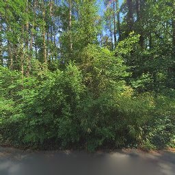 115 W WOODRIDGE DR, DURHAM, NC 27707