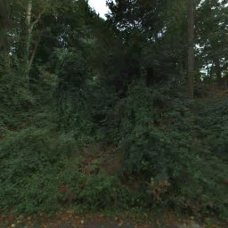7023 NE 158TH ST, KENMORE, WA 98028