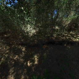 1623 RONNE DR, SANTA ROSA, CA 95404