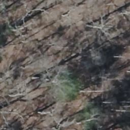 2919 HIGHLAND GAP RD, SCALY MOUNTAIN, NC 28775