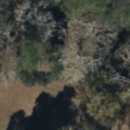 166 LITTLE LULU LN, RICHMOND HILL, GA 31324