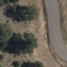 25576 ELK RANGE RD, EVERGREEN, CO 80439