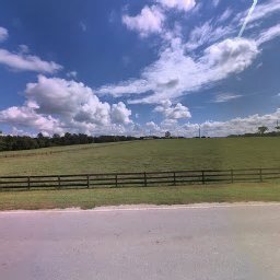 5101 W HIGHWAY 329, REDDICK, FL 32686