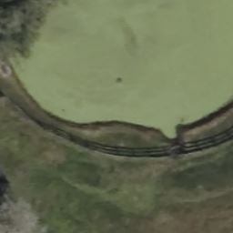 8025 NW 120TH ST, REDDICK, FL 32686