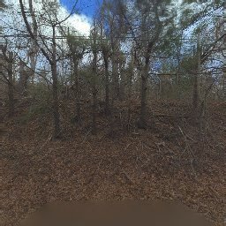 448 MILLS GAP RD, ARDEN, NC 28704